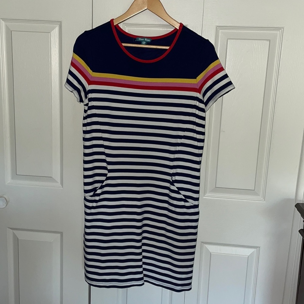 Anthropologie Fleur Blue striped dress M